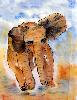 gallery/Members_Paintings/Beryl_Brown/_thb_elephantberylbrown.jpg