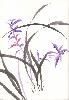 gallery/Members_Paintings/Howard_Asher/_thb_Chinese_Purple_Flower.jpg