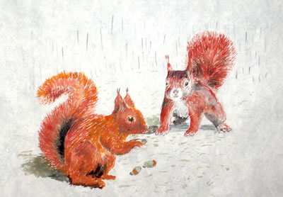 gallery/Members_Paintings/Ian-Davidson/Squirrels_Ian.jpg