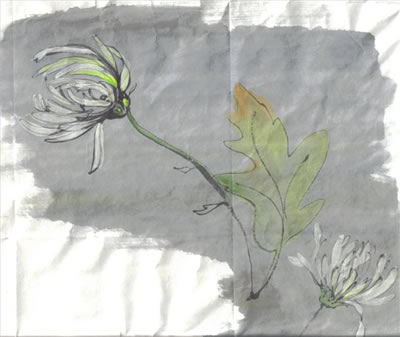 gallery/Members_Paintings/Ida_Mackey/chrysanthemumaa.jpg