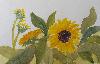 gallery/Members_Paintings/Jill_Eastwood/_thb_sunflowers2je.jpg