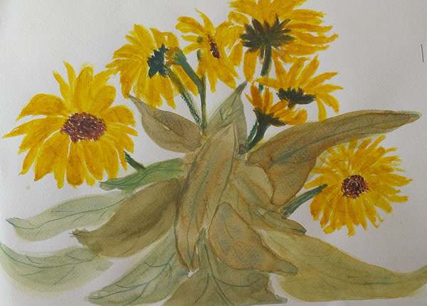 gallery/Members_Paintings/Jill_Eastwood/sunflowers1je.jpg