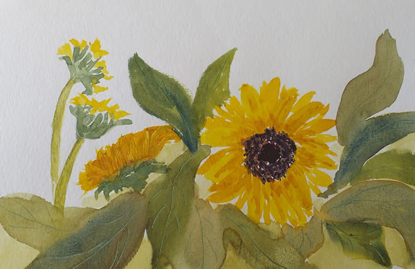 gallery/Members_Paintings/Jill_Eastwood/sunflowers2je.jpg