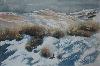gallery/Members_Paintings/Nick_Hornigold/_thb_winter_scene.sized.jpg