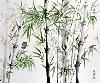 gallery/Members_Paintings/Richard_Sauve/_thb_00Bamboo%20with%20butterfly.jpg